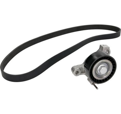 V-belts set with rollers AUDI A1. SEAT IBIZA IV. IBIZA IV SC. IBIZA IV ST. TOLEDO IV. SKODA FABIA III. RAPID. VW POLO. POLO V 1.