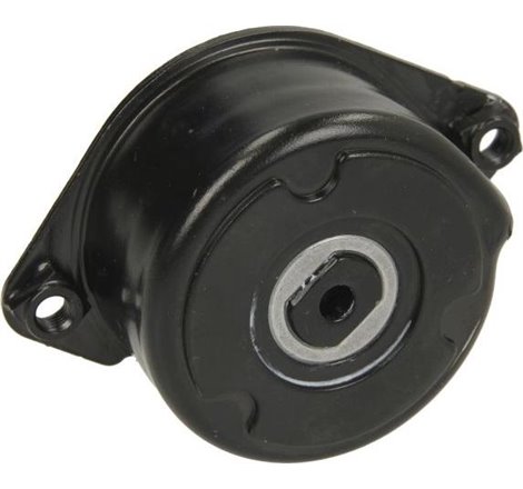 V-nervuri curea tensionare BMW 3 E46. 5 E39. 7 E38. X5 E53. Opel Omega B 2.5DTI. 08.98-3.0d - INA-534 0171 10