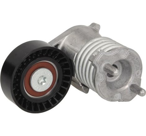 Roller curea tensionare Ford Focus. Kuga. Volvo C30. C70. S40. V50 2.4D5-01.04-2.5RS - INA-534027310