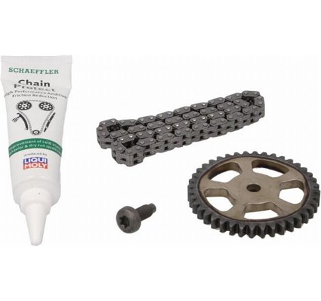 Set lant, antrenare pompa ulei - INA-558011810