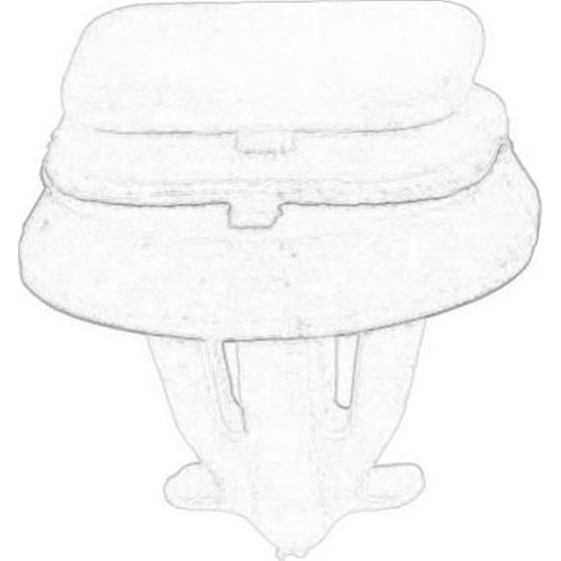 Clips, acoperire decorativa si protectie - IVECO-5801720444