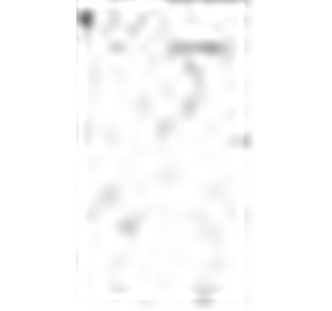 Piston - Kolbenschmidt-41072620