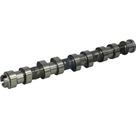 Ax cu came - Kolbenschmidt-50006152