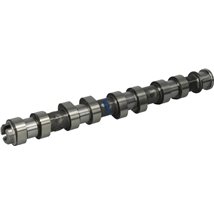 Ax cu came - Kolbenschmidt-50006152