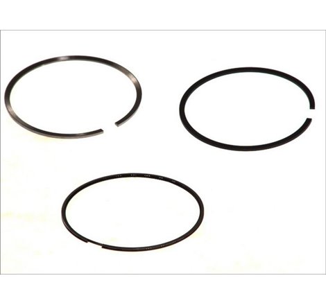 94.4 STD 2.5-2-2.5 Set de segmente de piston IVECO DAILY II. DAILY III. POWER DAILY. RVI B. MASCOTT. MESSENGER. CITROEN JUMPER I