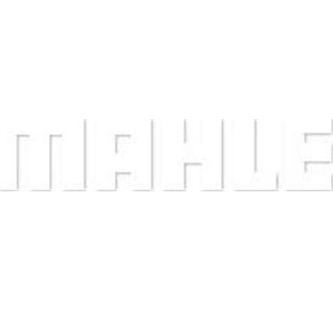 Radiator motor MERCEDES CLS C257. E A238. E ALL-TERRAIN S213. E C238. E T-MODEL S213. E W213. EQC N293. EQV W447. GLC C253. GLC 