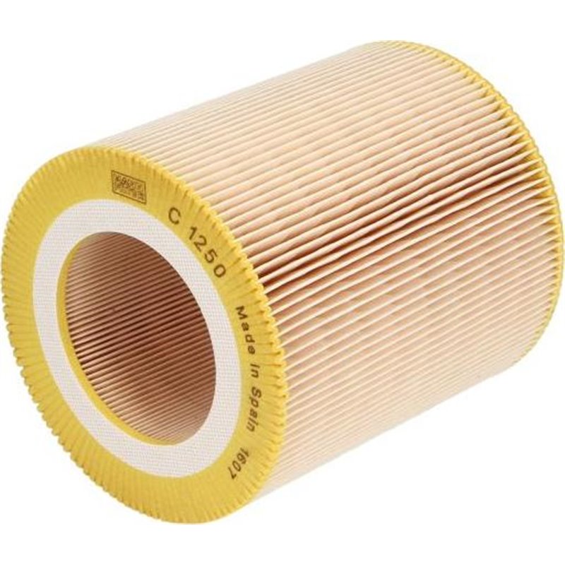 Filtru aer FIAC ATMOS E. ECOAIR A. INGERSOLL RAND SSR - Mann-Filter-C 1250