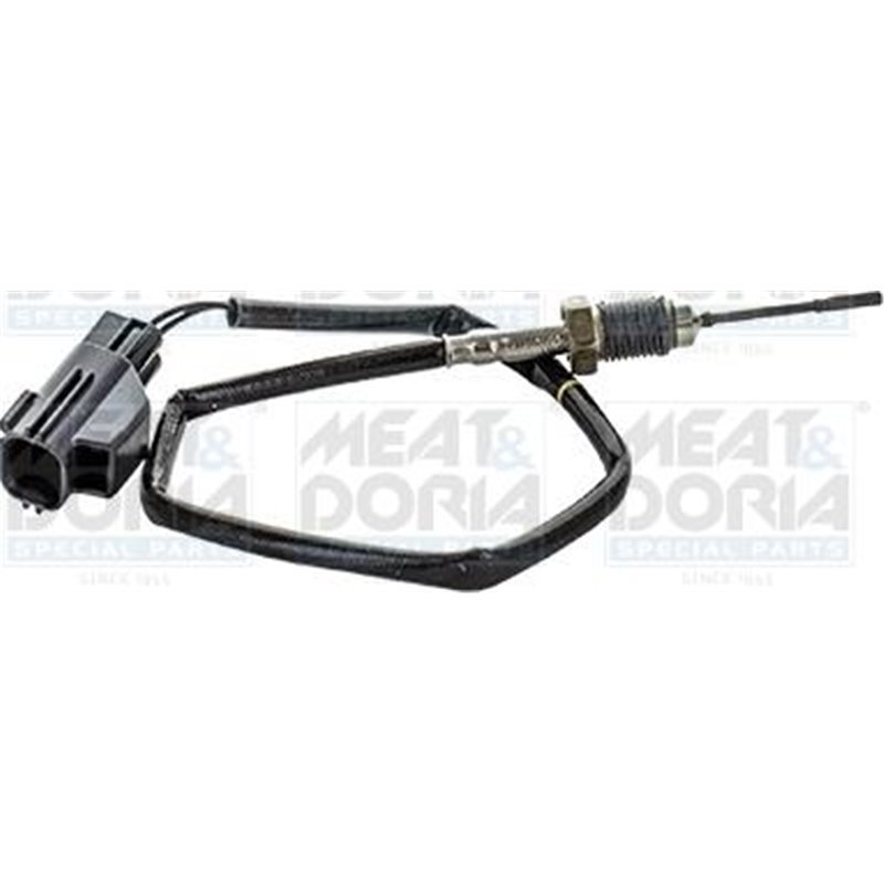 Senzor, temperatura gaze evacuare - Meat & Doria-12432