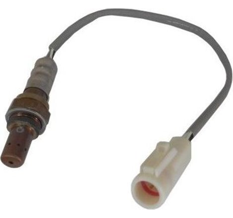 Sonda Lambda - Meat & Doria-81907