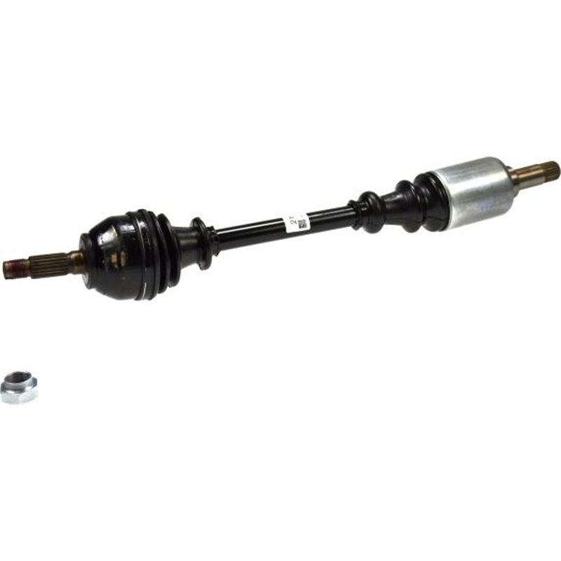 Planetara - Metelli-17-0062