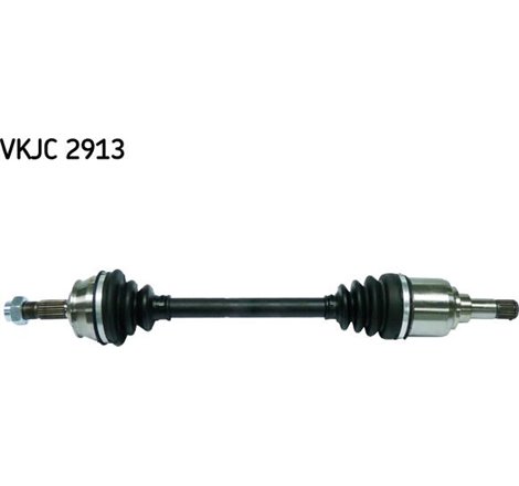 Planetara - Metelli-17-0235