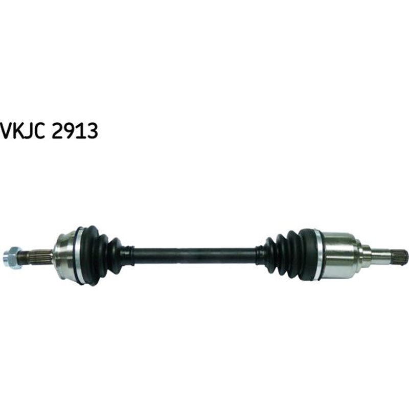 Planetara - Metelli-17-0235