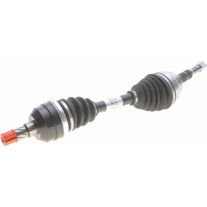 Planetara - Metelli-17-0350