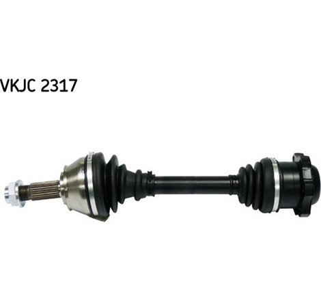 Planetara - Metelli-17-0424