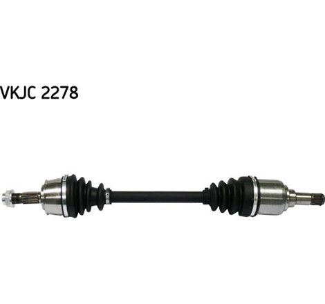 Planetara - Metelli-17-0536