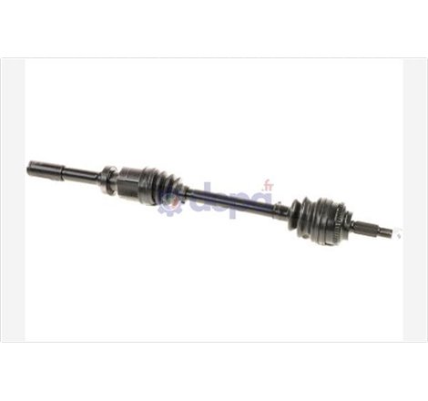 Planetara - Metelli-17-0602