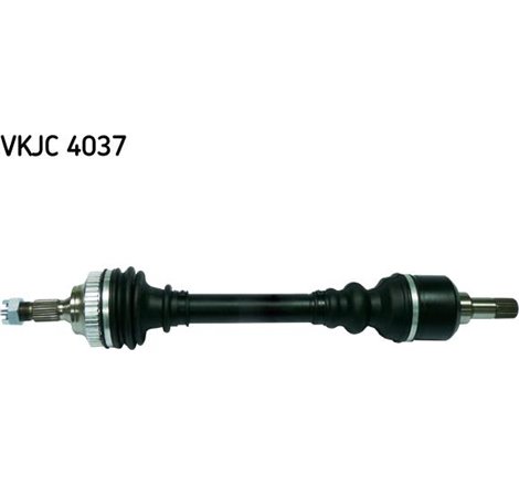 Planetara - Metelli-17-0805