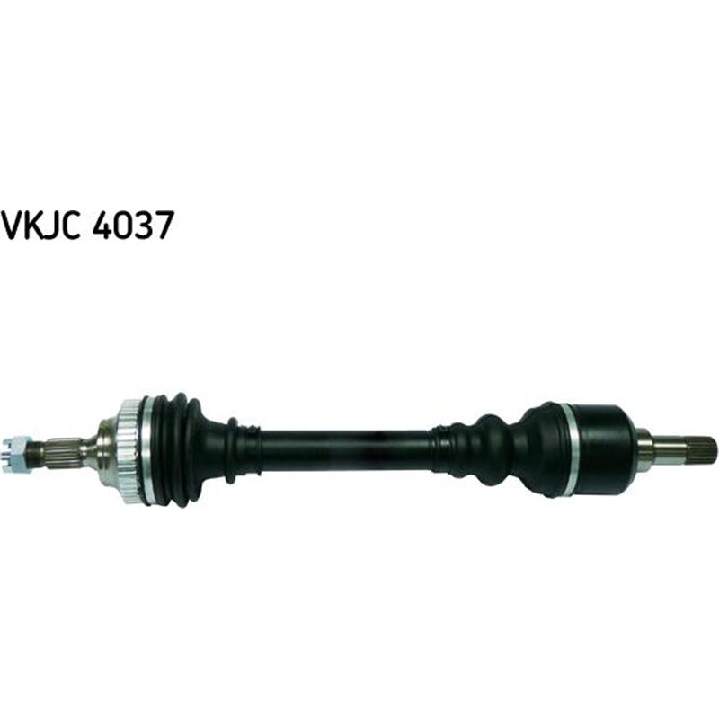 Planetara - Metelli-17-0805