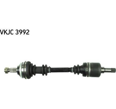 Planetara - Metelli-17-0831