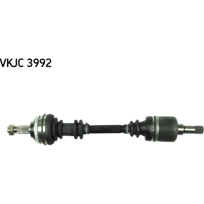 Planetara - Metelli-17-0831