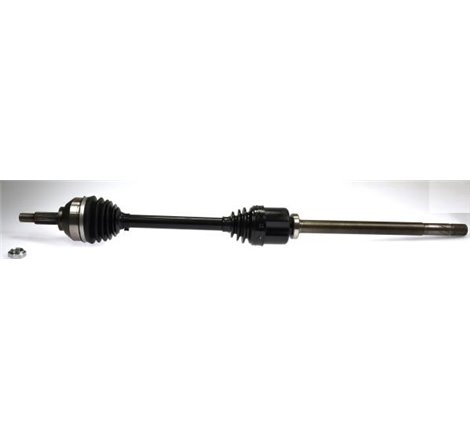 Planetara - Metelli-17-0851