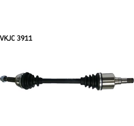 Planetara - Metelli-17-0920