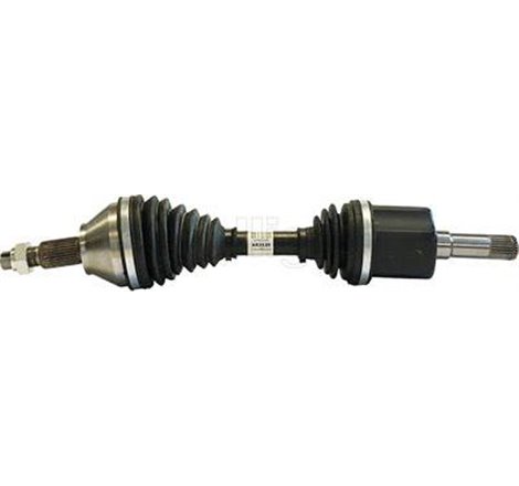 Planetara - Metelli-17-1081