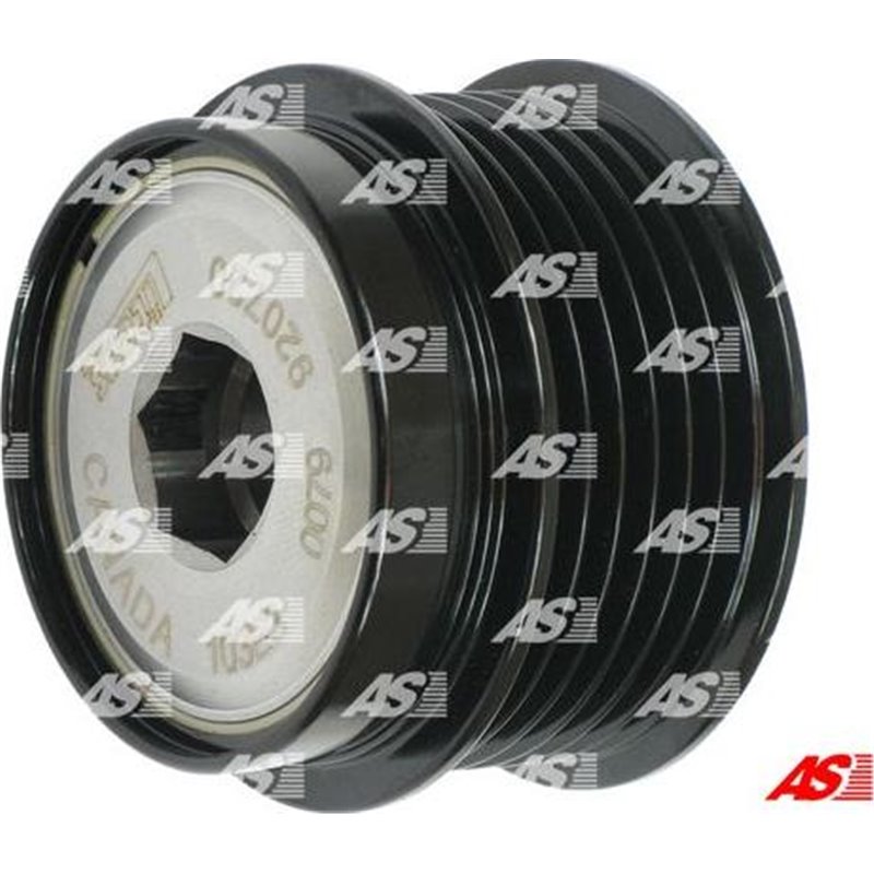 Fulie, alternator - AS-PL-AFP6008(LITENS)