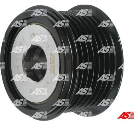 Fulie, alternator - AS-PL-AFP6017(LITENS)