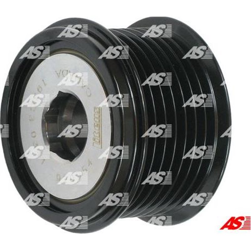 Fulie, alternator - AS-PL-AFP6017(LITENS)