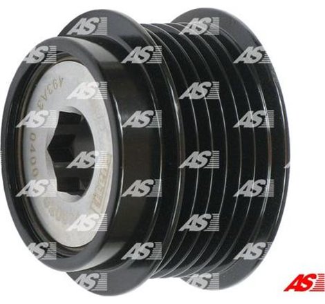 Fulie, alternator - AS-PL-AFP6022(LITENS)