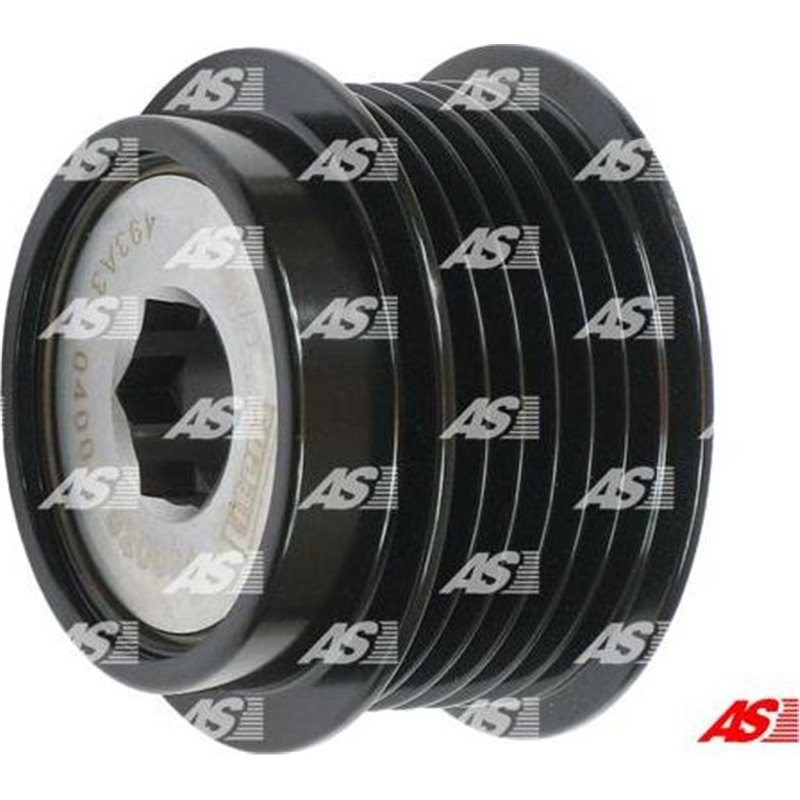 Fulie, alternator - AS-PL-AFP6022(LITENS)