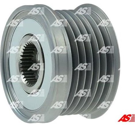 Fulie, alternator - AS-PL-AFP6042