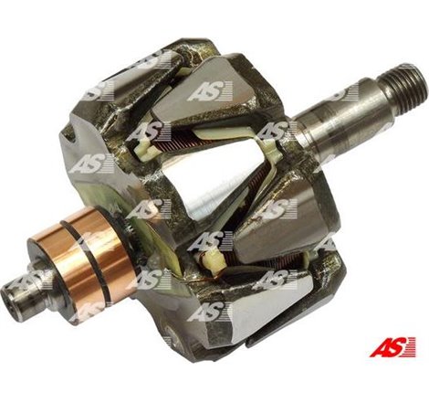 Rotor,alternator - AS-PL-AR9009