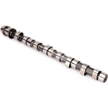 Ax cu came - AE-CAM389