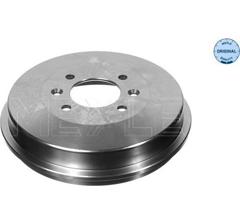 Tambur frana Spate CITROEN BERLINGO. BERLINGO-MINIVAN. C15-MINIVAN. XSARA. XSARA PICASSO. ZX. PEUGEOT 306. 405 I. 405 II. 406. P