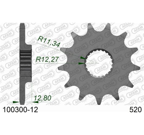 Taler / con pinion set - AFAM-100300-12