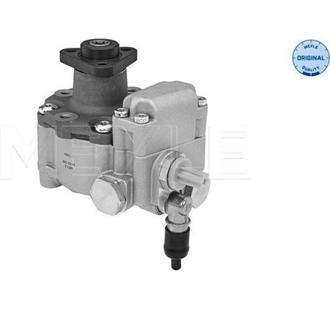 Pompa hidraulica, sistem de directie - Meyle-3146310046