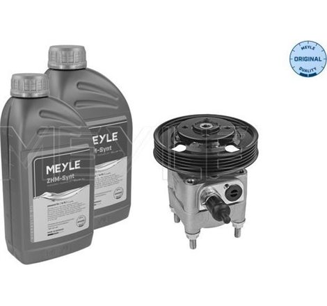 VOLVO S80 II. V70 III. XC60 I. XC70 II. FORD MONDEO IV. S-MAX 2.4D-2.5-2.5ALK 03.06-04.16 - Meyle-5146310021/S