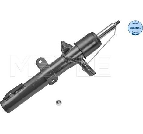 Amortizor Fata DR-ST FORD TRANSIT V363 2.0D-2.0DH-2.2D 08.13- - Meyle-7266230049