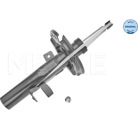 Amortizor Fata Dreapta FORD TOURNEO CONNECT V408 NADWOZIE WIELKO. TRANSIT CONNECT. TRANSIT CONNECT V408-MINIVAN 1.0-1.6D 02.13- 