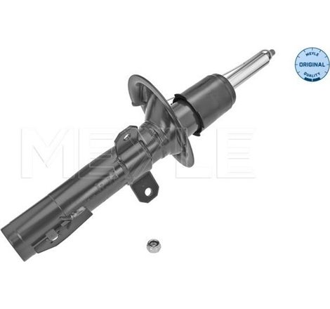 Amortizor Fata DR-ST FORD TOURNEO CUSTOM V362. TRANSIT CUSTOM V362 1.0H-2.2D 09.12-12.23 - Meyle-7266230055