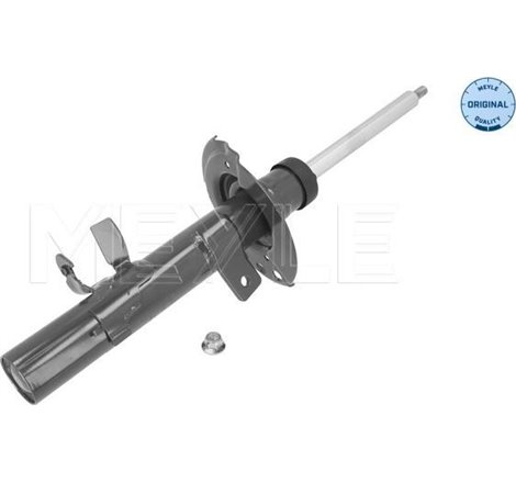 Amortizor Fata Dreapta FORD KUGA II. FORD USA ESCAPE 1.5-2.5 09.12- - Meyle-7266230060