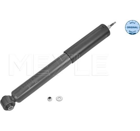 Amortizor Spate DR-ST VOLVO S80 II. FORD GALAXY II. MONDEO IV. S-MAX 1.6-4.4 03.06-12.16 - Meyle-7267250029