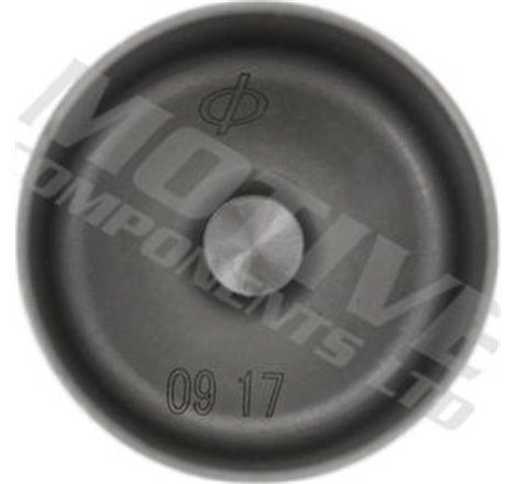 Culbutor supapa - MOTIVE-CF355