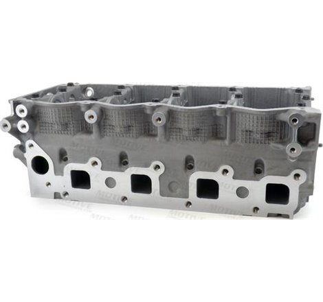 Chiulasa - MOTIVE-CYN657