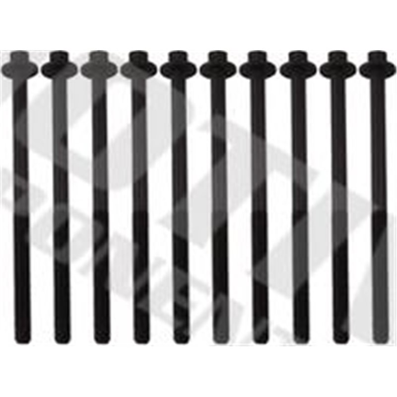 Set surub, chiulasa - MOTIVE-HB5008SET