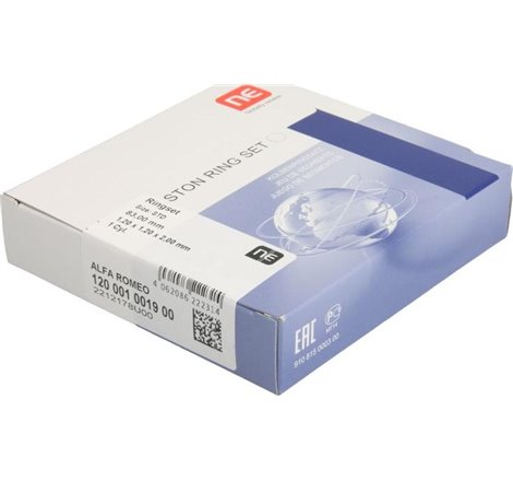 Set segmenti piston - NE-120001001900