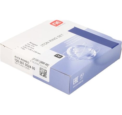 Set segmenti piston - NE-120001002400