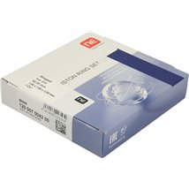 Set segmenti piston - NE-120007004200